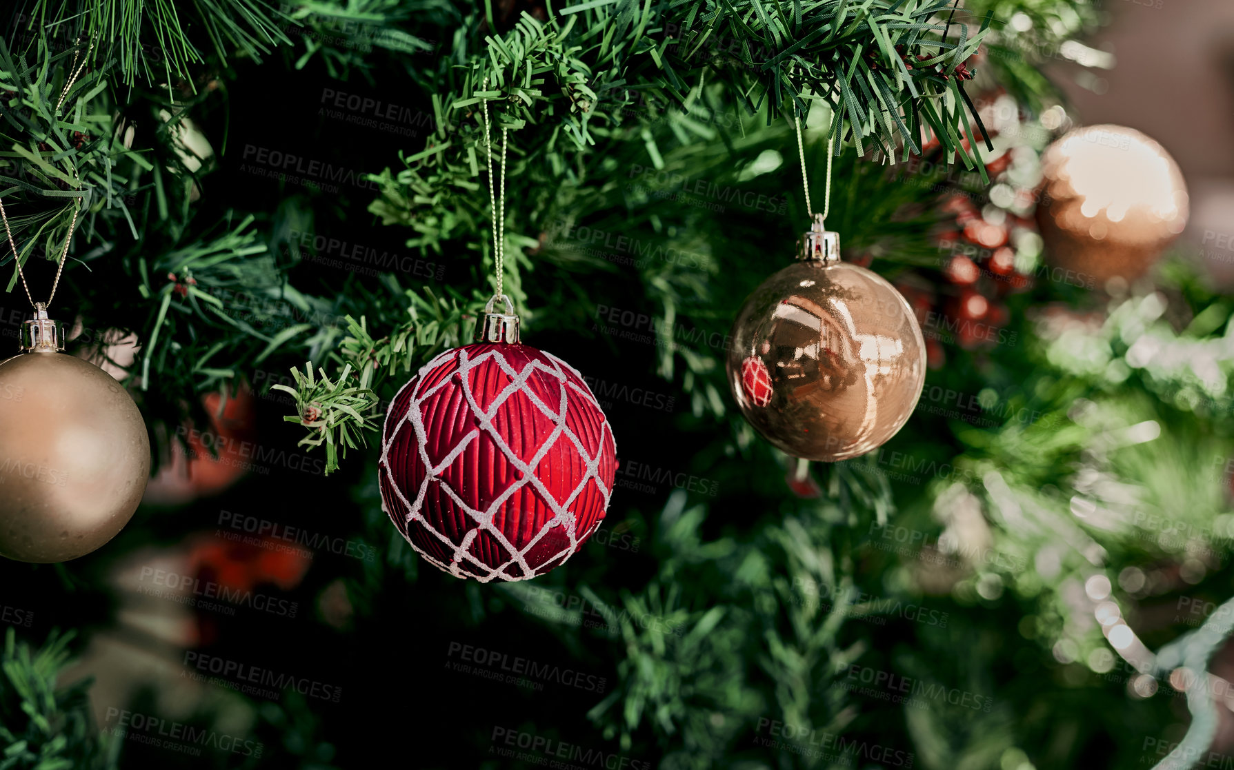 Buy stock photo Christmas tree, home decoration and tradition trees with colorful ornamnets in a house with light. Holiday celebration interior decor at a party of family home for festive season with hanging detail