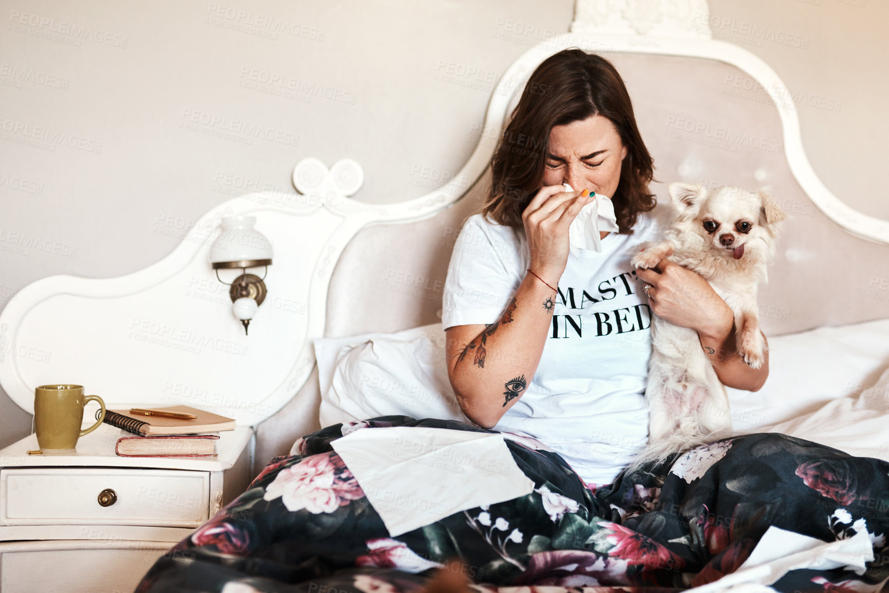 Buy stock photo Tissue, sick and woman with dog, bedroom, sneezing and blowing of nose, cold or allergies in house. Home, infection and person with toilet paper for sinus, symptoms and affection of animal or illness