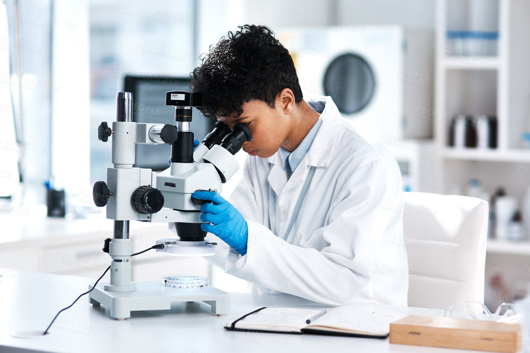 Buy stock photo Shot of a young scientist using a microscope in a lab