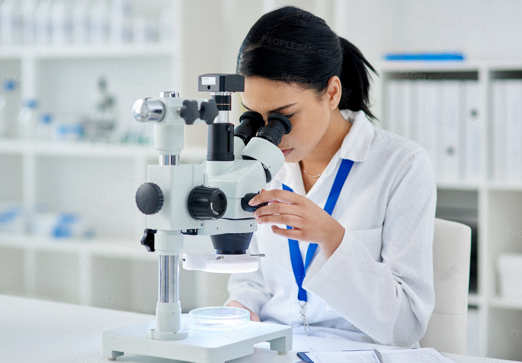 Buy stock photo Doctor, microscope and pharmaceutical for medical or research, experiment and virus analysis in laboratory for health. Woman, DNA and investigation for bacteria test with biotechnology equipment