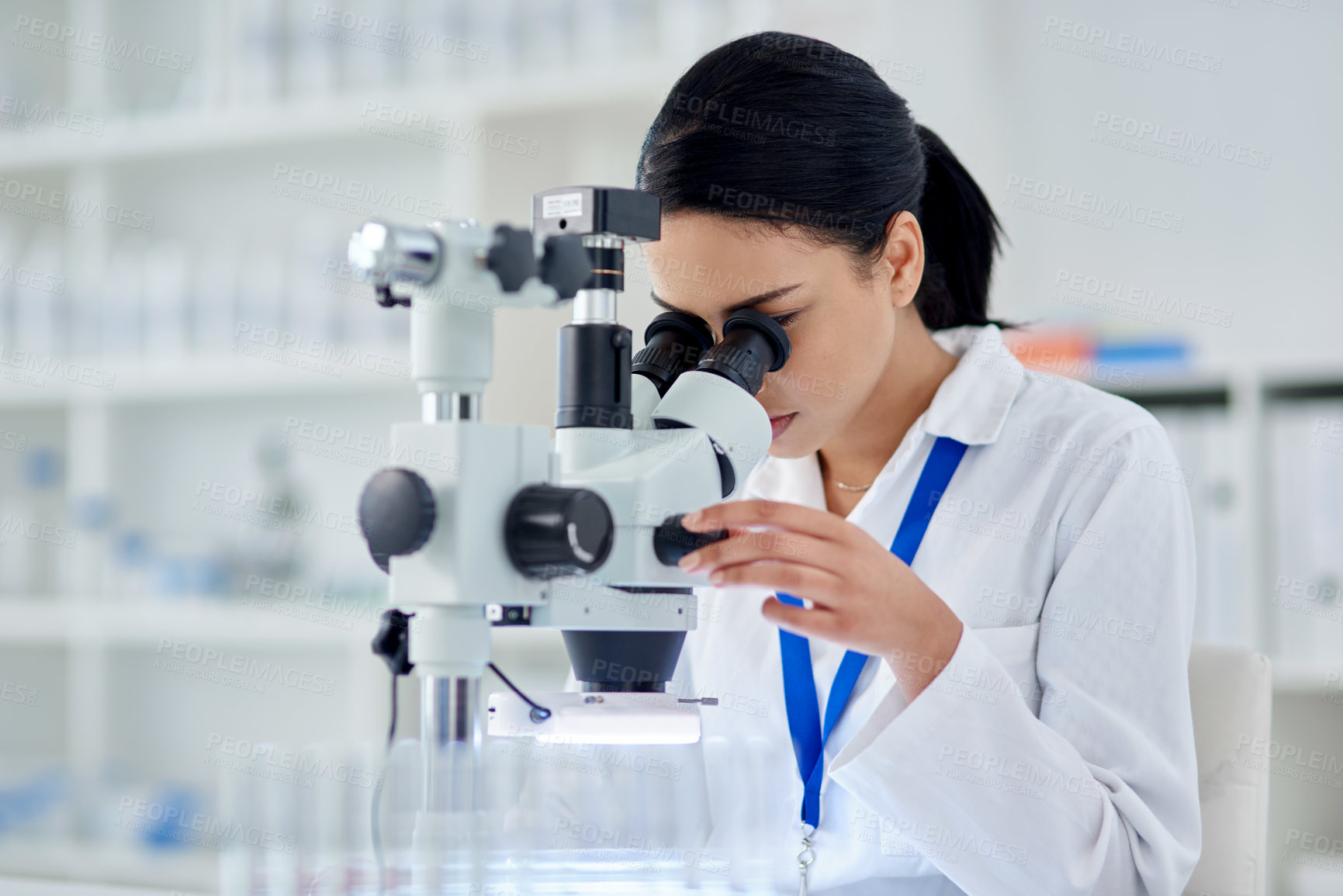 Buy stock photo Shot of a young scientist using a microscope in a laboratory