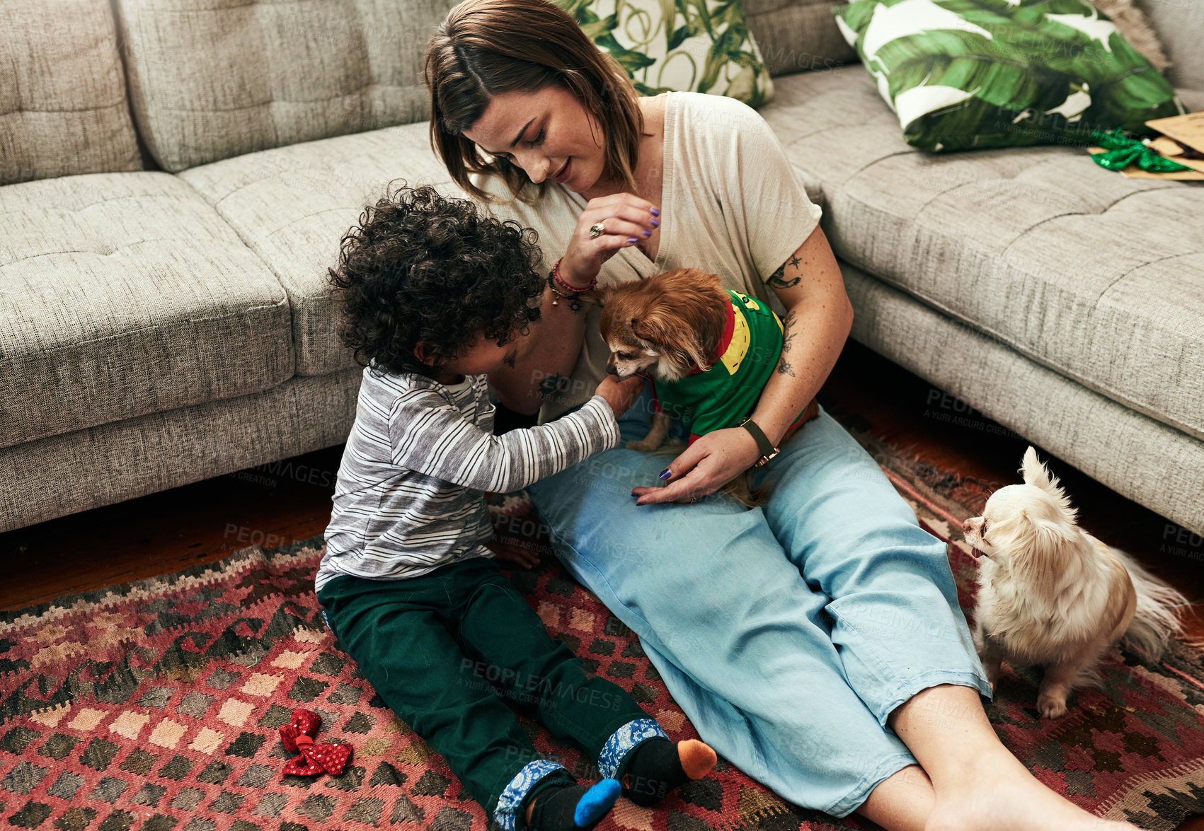 Buy stock photo Shot of a cheerful young woman and her son petting their dog while being seated on the floor of the living room at home