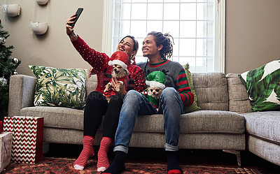 Buy stock photo Shot of a cheerful young couple holding their pet dogs while taking a selfie and  being seated on a sofa during christmas time at home