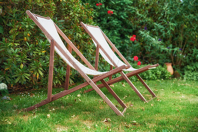 Buy stock photo Nature, plants and garden with chairs outdoor for decoration, sustainable and botany environment. Grass, furniture bench and ecology growth, summer season and gardening flowers to relax in backyard