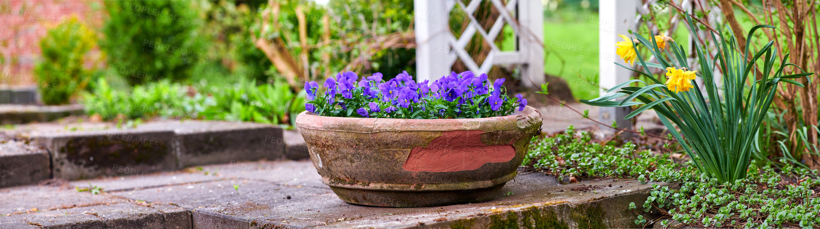 Buy stock photo A series of beautiful garden photos