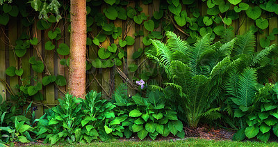 Buy stock photo A series of beautiful garden photos