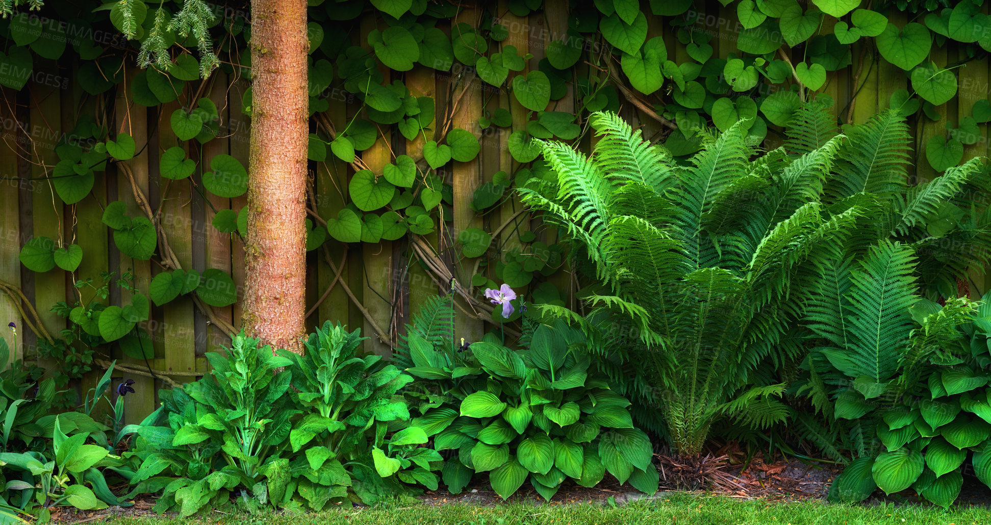 Buy stock photo A series of beautiful garden photos