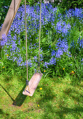 Buy stock photo A wooden empty swing with Bluebell flower growing in a green garden. Many blue flowers in harmony with nature, tranquil wild flora in a zen, quiet backyard with a hanging seat in a peaceful place