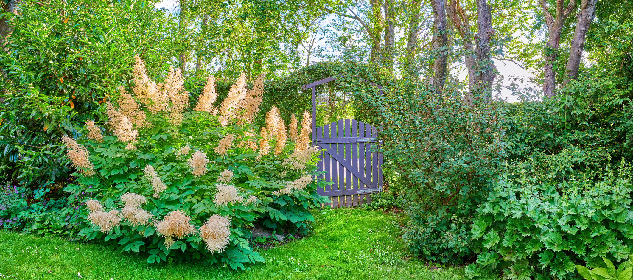 Buy stock photo A series of beautiful garden photos