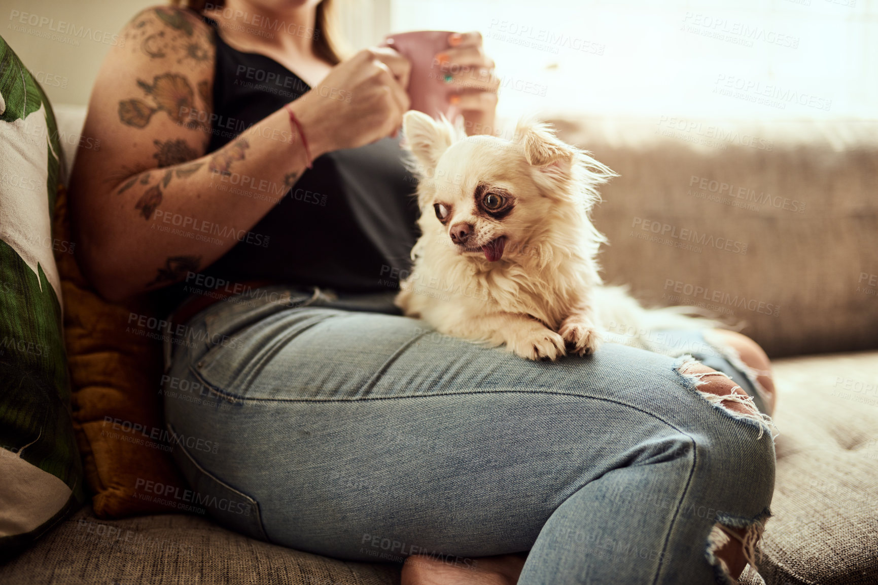 Buy stock photo Cropped shot of a woman having coffee and relaxing with her dog on the sofa at home