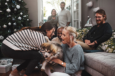 Buy stock photo Cropped shot of a group of cheerful friends hanging out together with a puppy in the living room at home during christmas time