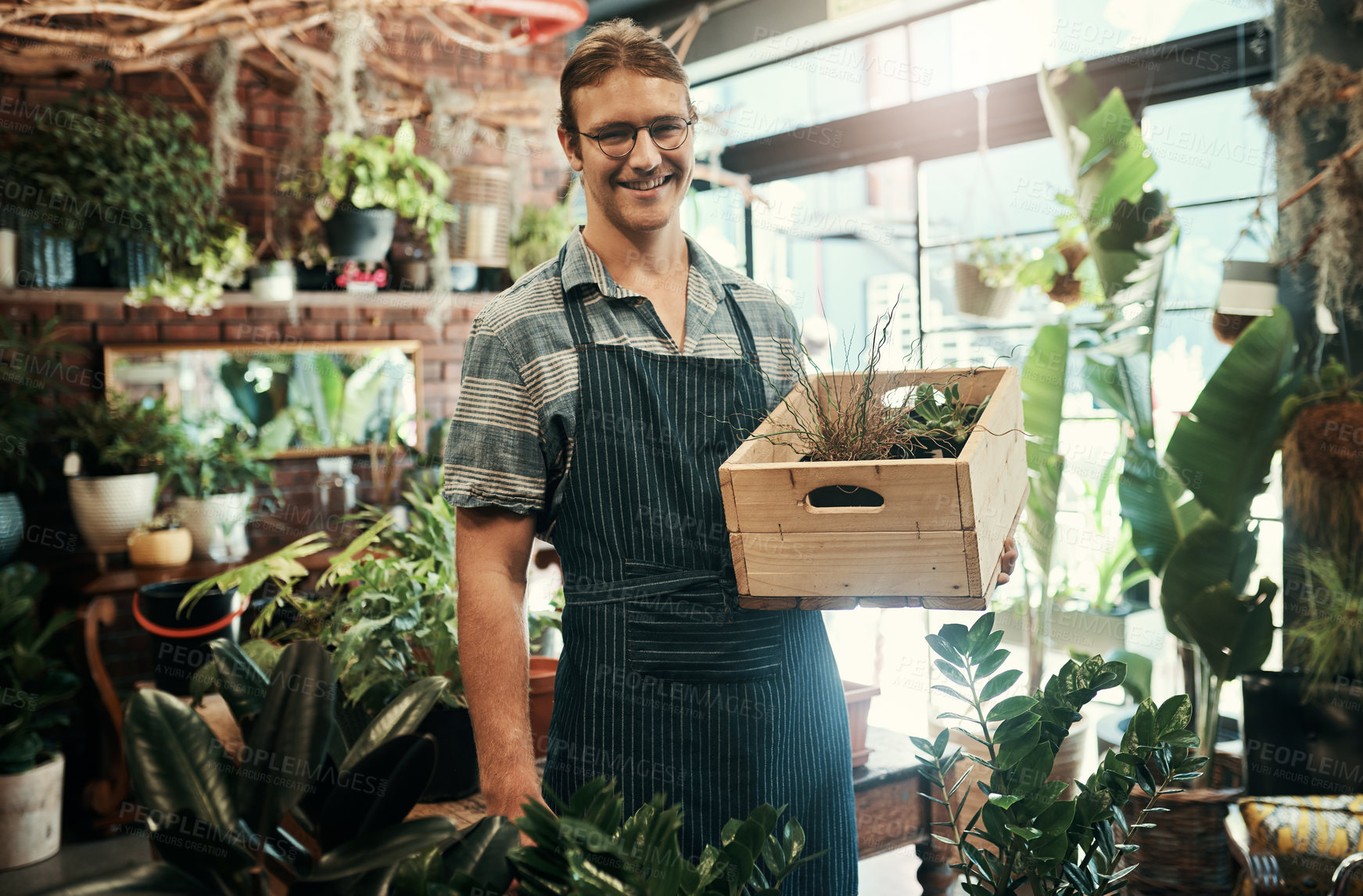 Buy stock photo Portrait of a handsome young florist holding a crate full of flowers inside of his plant nursery