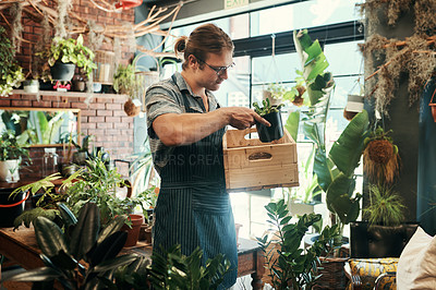 Buy stock photo Shot of a handsome young florist working inside his plant nursery