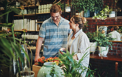 Buy stock photo Cropped shot of two young florists watering flowers and working together inside their plant nursery