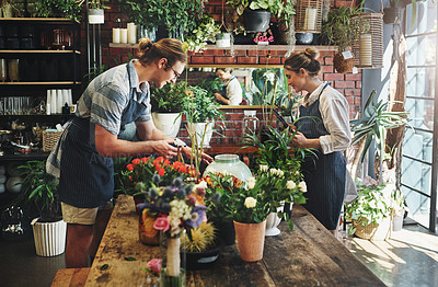 Buy stock photo Cropped shot of two young florists watering flowers and working together inside their plant nursery