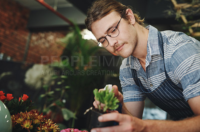 Buy stock photo Cropped shot of a handsome young florist watering flowers inside his plant nursery
