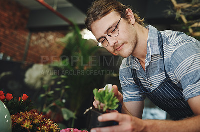 Buy stock photo Florist, water spray and flowers stock or plants in garden, nursery and sustainable greenhouse for boutique store. Gardening, small business and eco friendly man for botanical, horticulture or retail