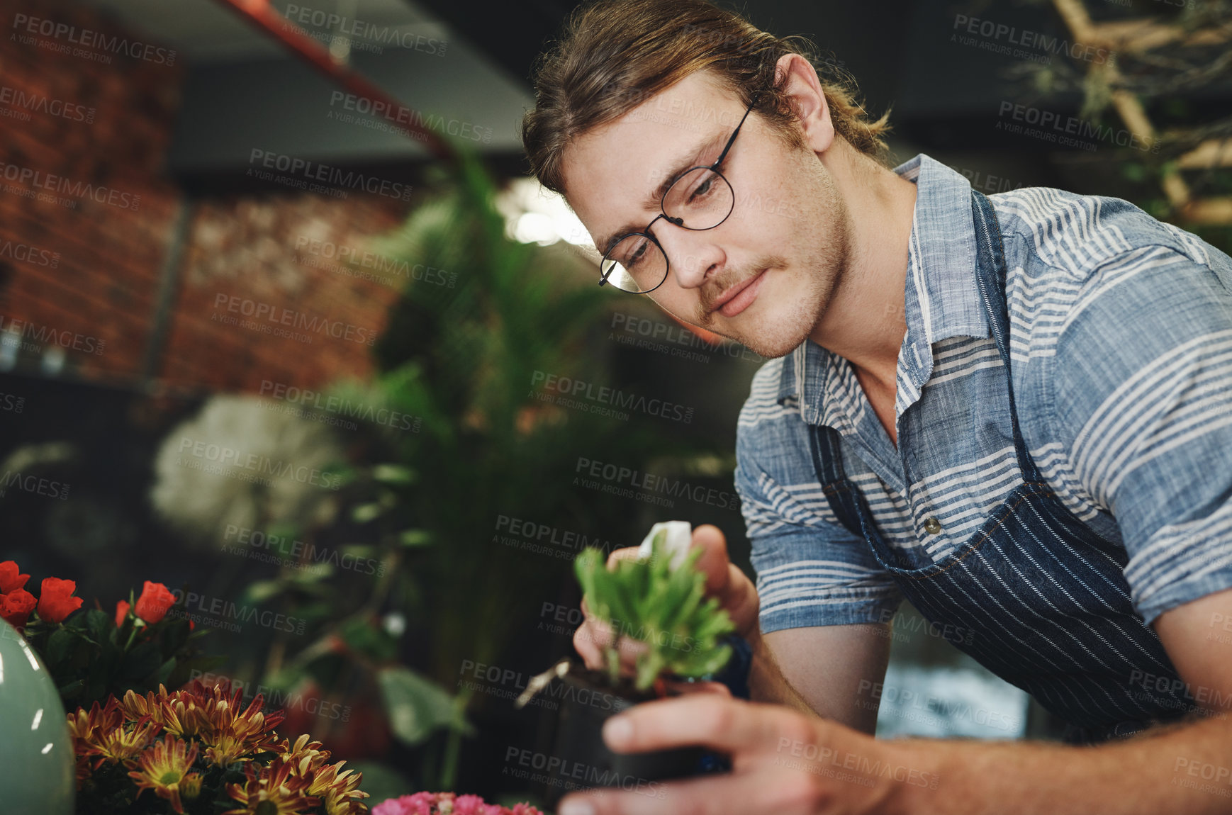 Buy stock photo Florist, water spray and flowers stock or plants in garden, nursery and sustainable greenhouse for boutique store. Gardening, small business and eco friendly man for botanical, horticulture or retail