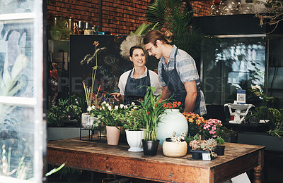 Buy stock photo Cropped shot of two young florists working together inside a plant nursery