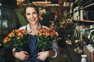 Buy stock photo Portrait of an attractive young florist holding potted flowers inside a pant nursery