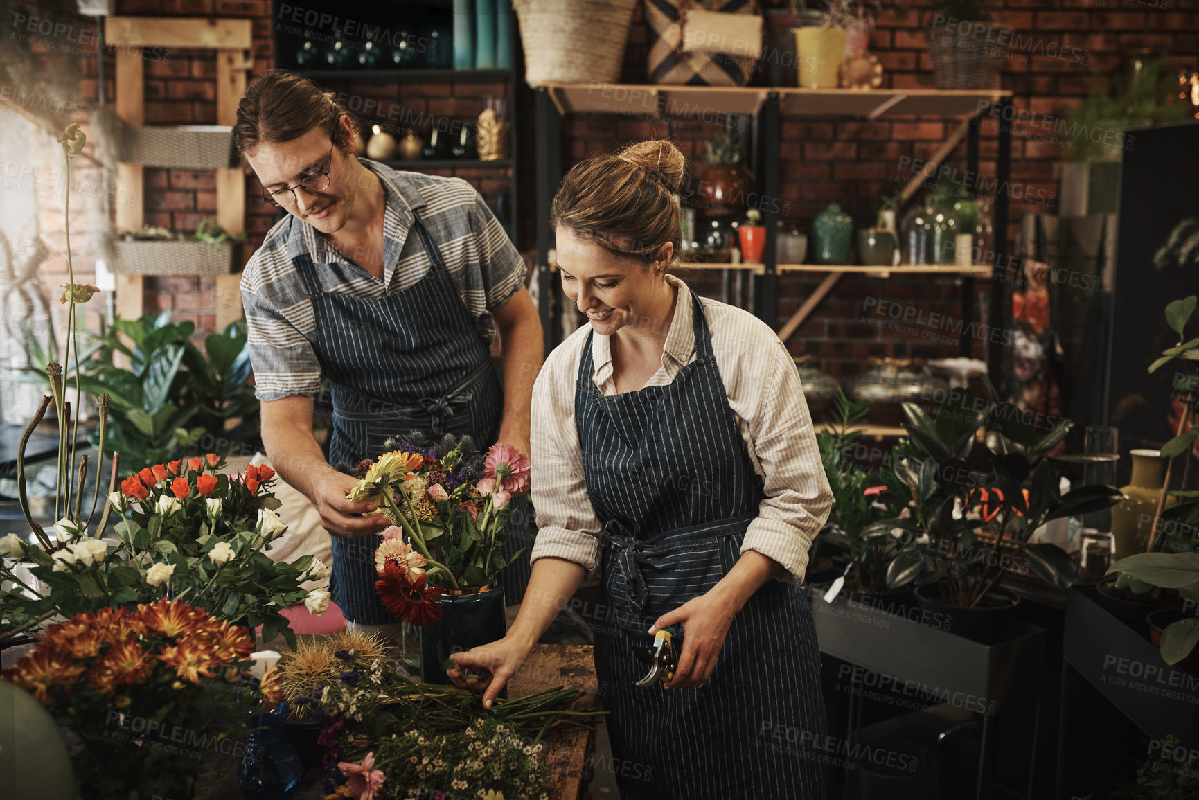 Buy stock photo Nursery, flowers and stock trimming or plants in garden, small business and sustainable greenhouse. Boutique store owner, florist or eco friendly people for botanical, horticulture or retail shop