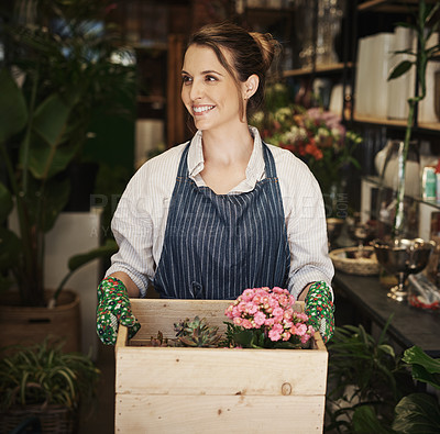 Buy stock photo Cropped shot of an attractive young florist holding a crate full of flowers inside her plant nursery