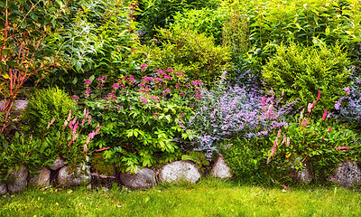 Buy stock photo A series of beautiful garden photos