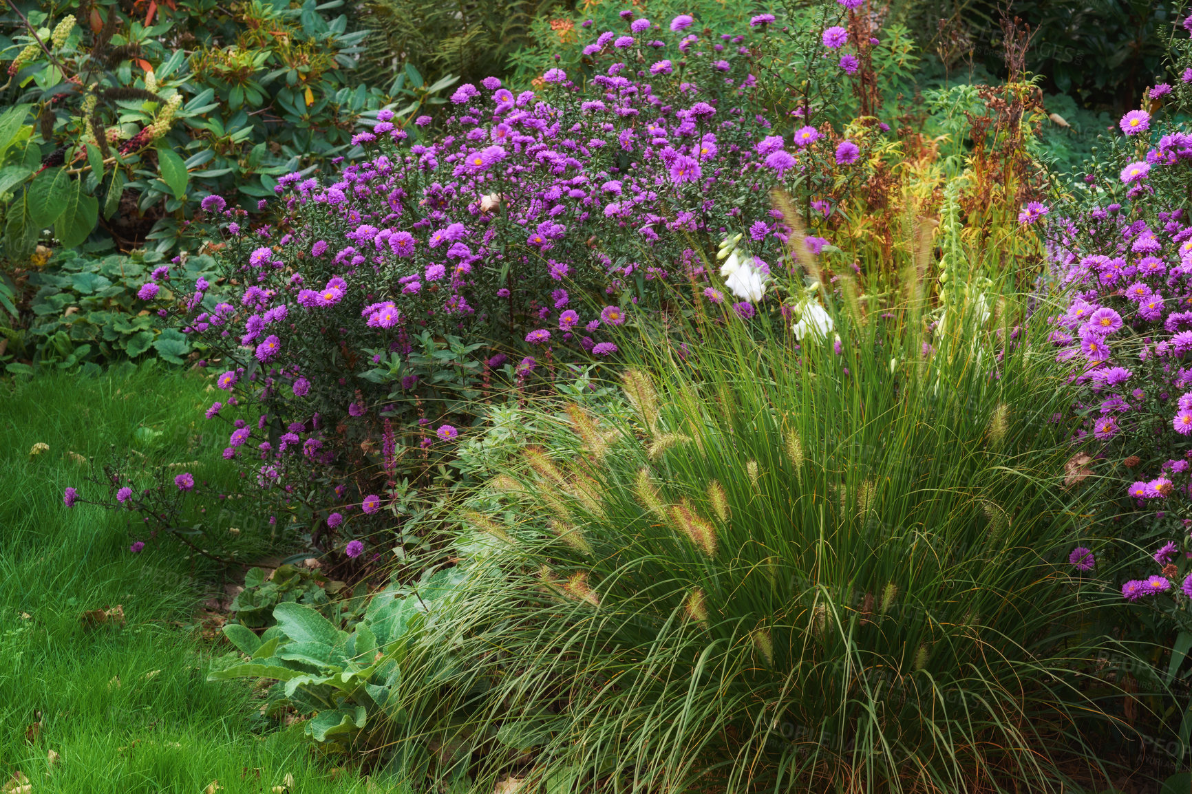 Buy stock photo A series of beautiful garden photos