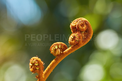 Buy stock photo A series of beautiful garden photos