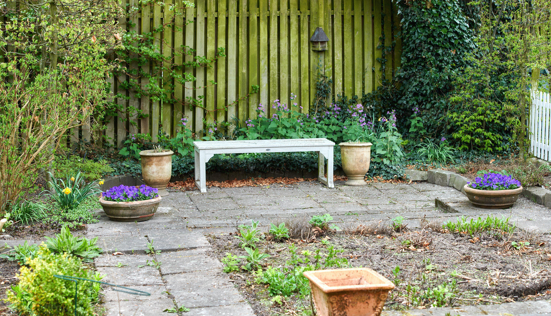 Buy stock photo Home, garden and outdoor for peace on weekend, ecosystem and growth in countryside park. Environment, natural carbon footprint and tranquility in backyard, sustainable calm and development of plants