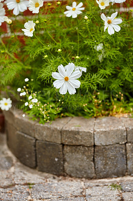 Buy stock photo A series of beautiful garden photos