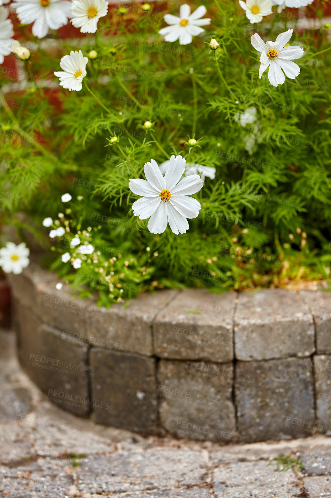 Buy stock photo A series of beautiful garden photos