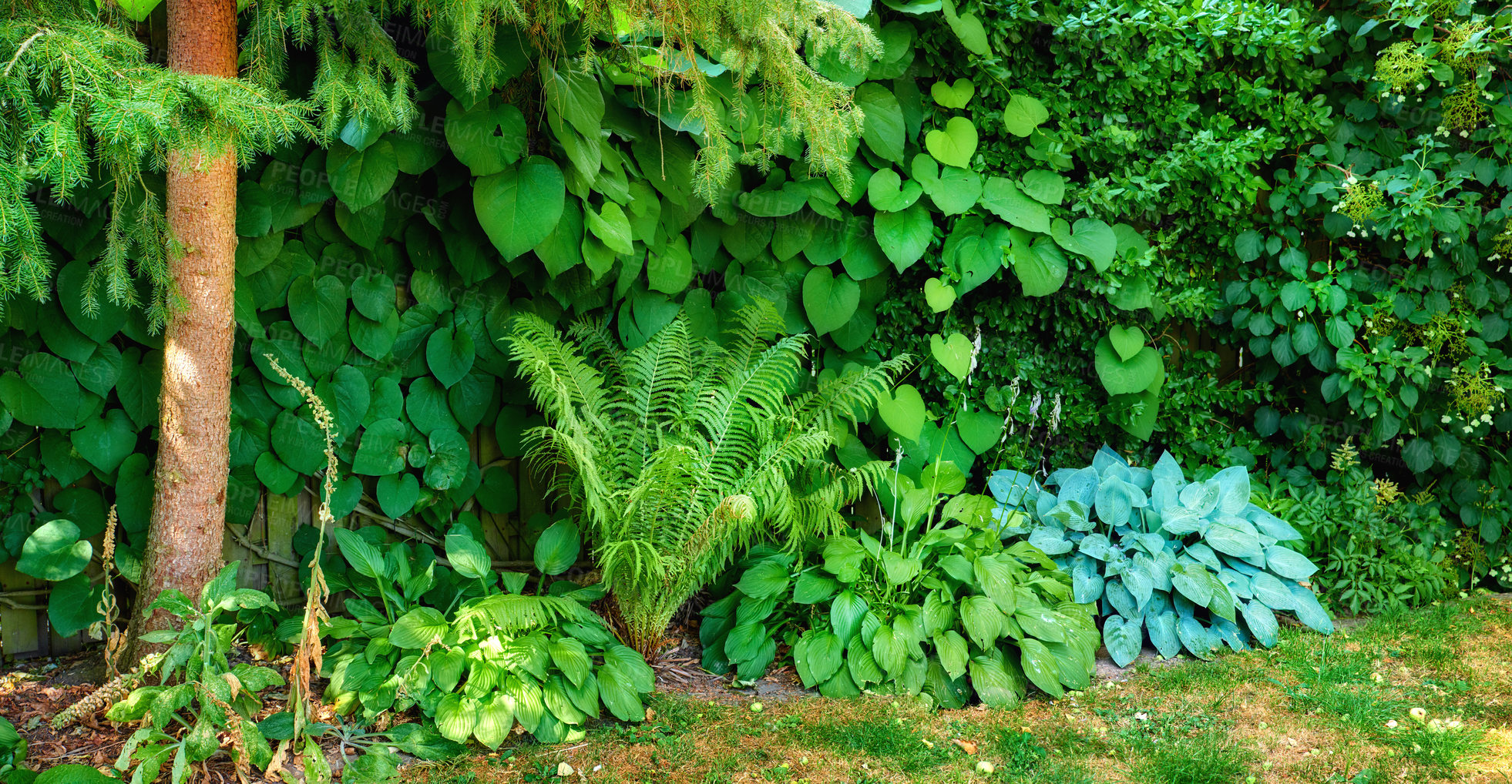 Buy stock photo A series of beautiful garden photos