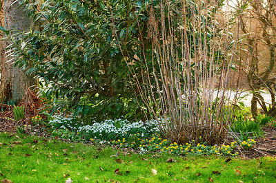 Buy stock photo A series of beautiful garden photos