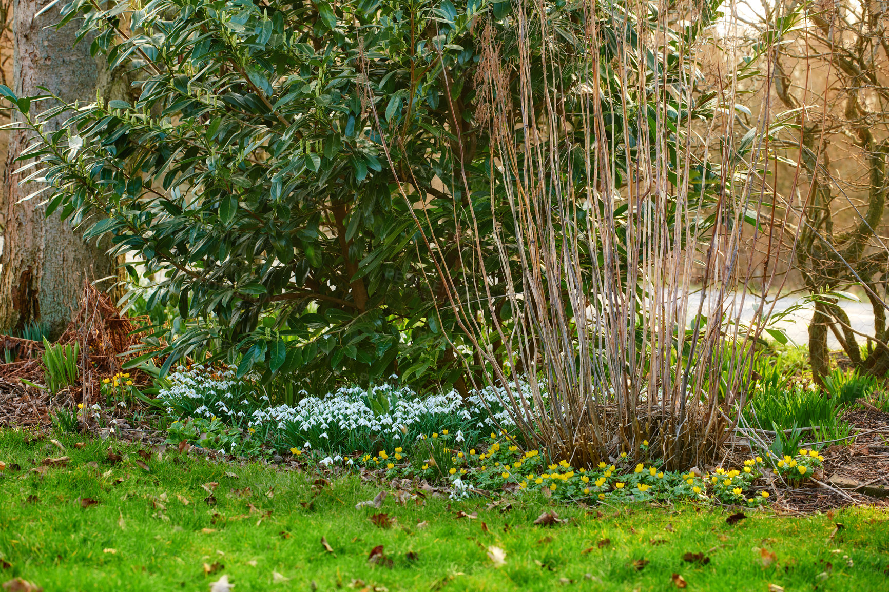 Buy stock photo A series of beautiful garden photos