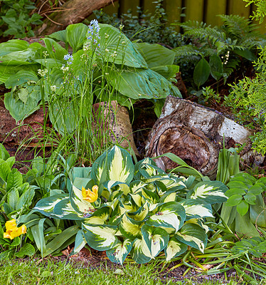 Buy stock photo A series of beautiful garden photos