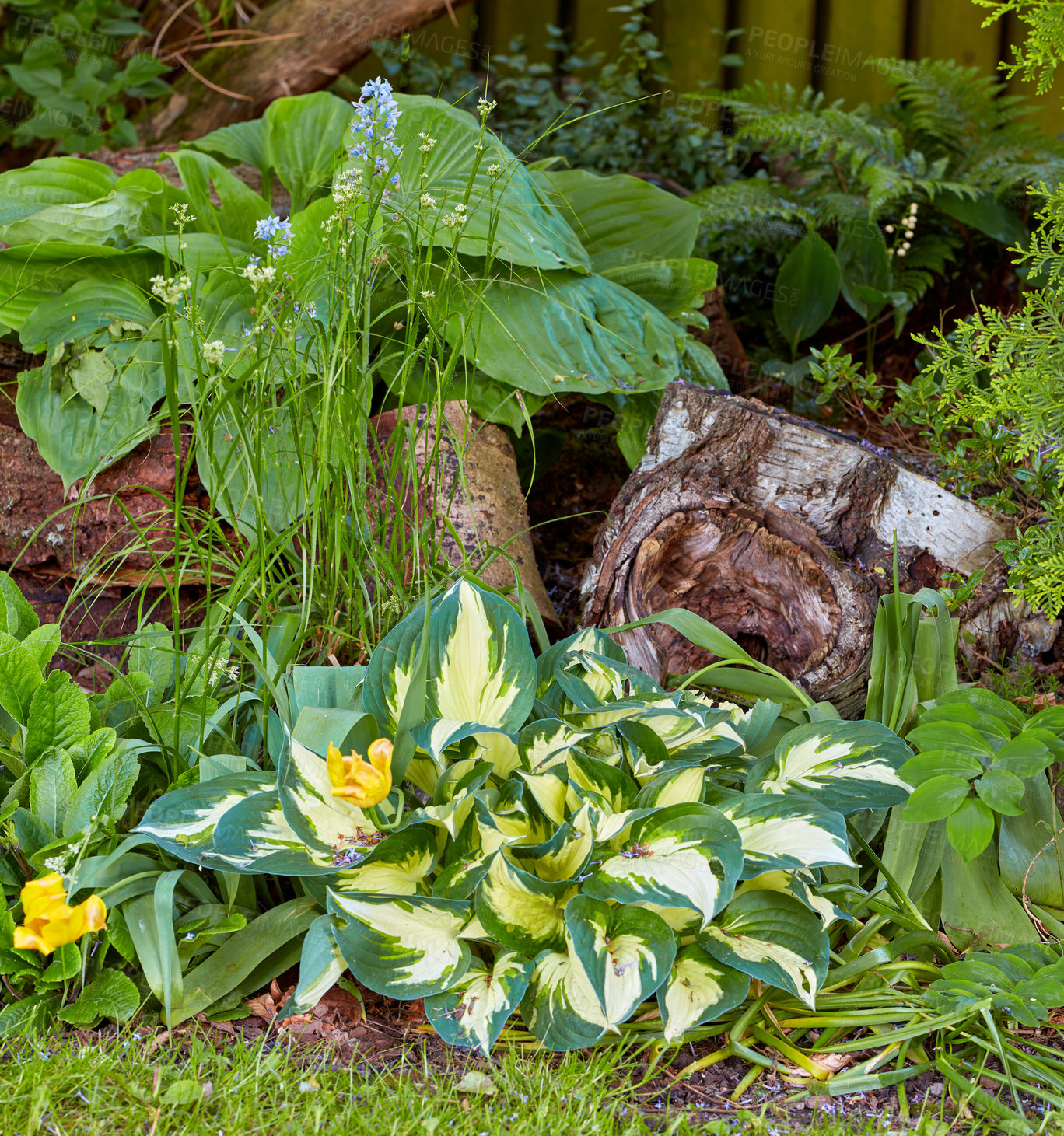 Buy stock photo A series of beautiful garden photos