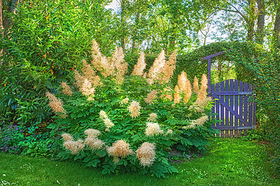 Buy stock photo A series of beautiful garden photos