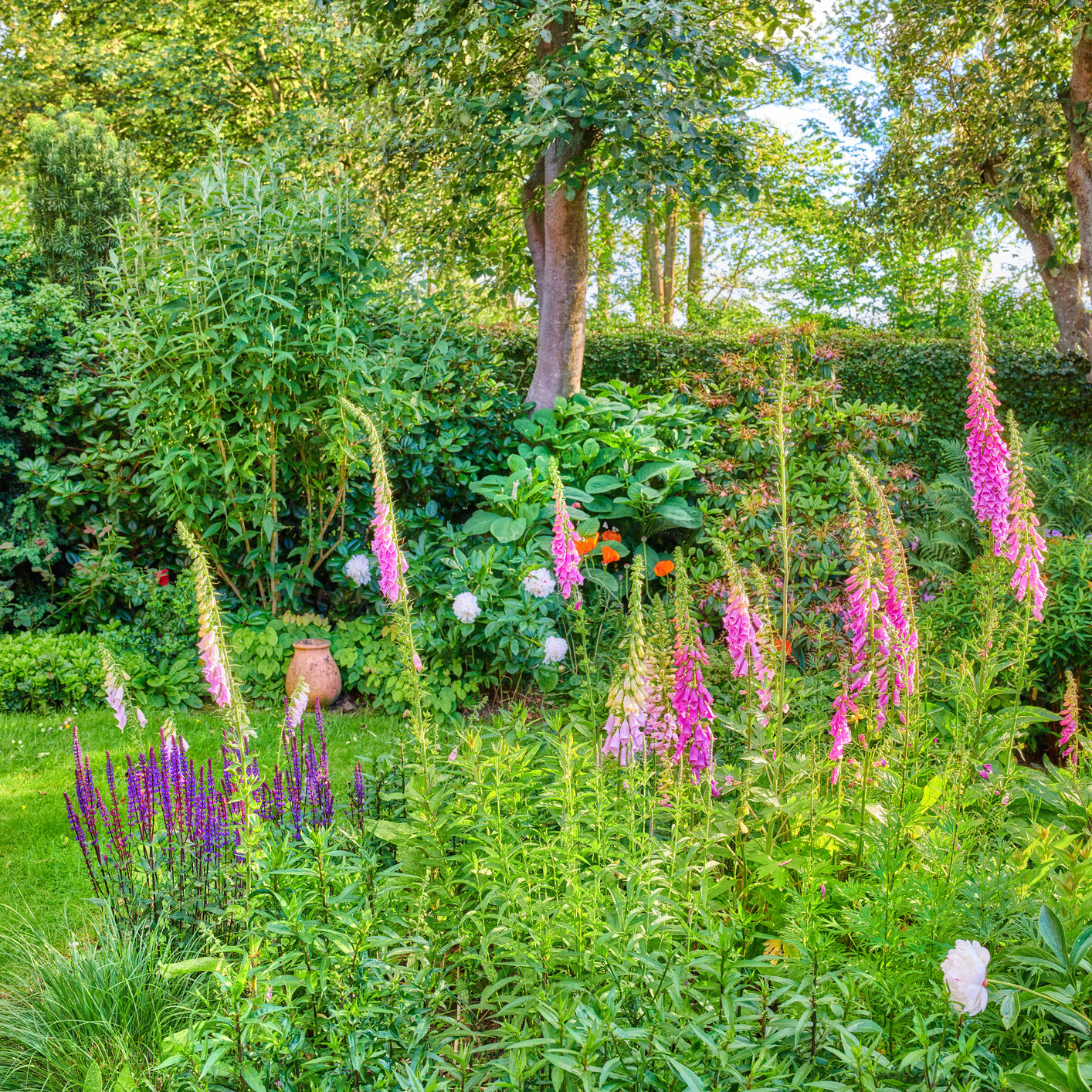 Buy stock photo A series of beautiful garden photos