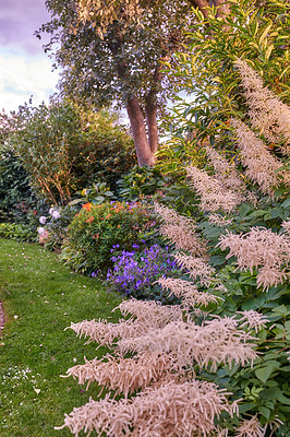 Buy stock photo A series of beautiful garden photos