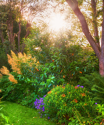 Buy stock photo A series of beautiful garden photos