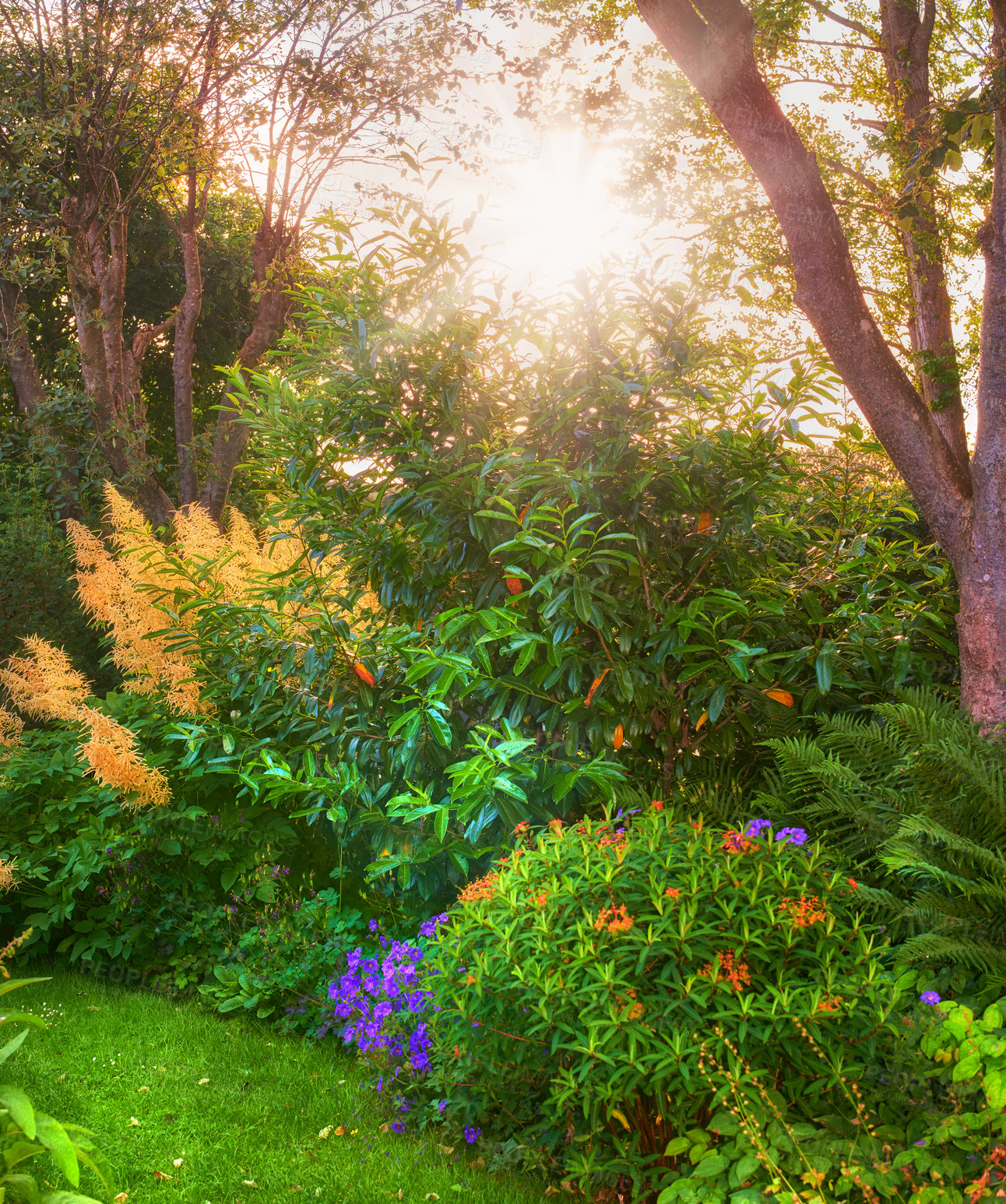 Buy stock photo A series of beautiful garden photos