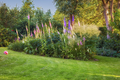 Buy stock photo A series of beautiful garden photos