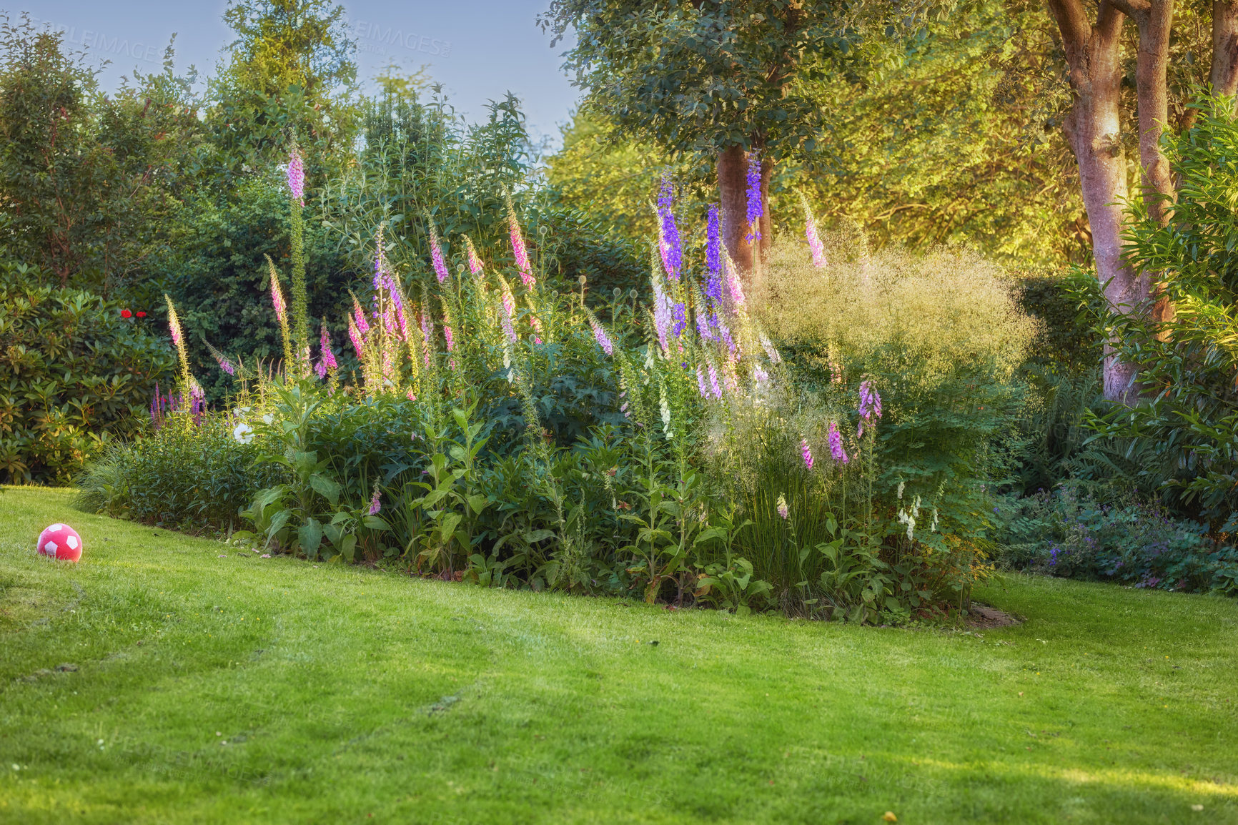 Buy stock photo A series of beautiful garden photos