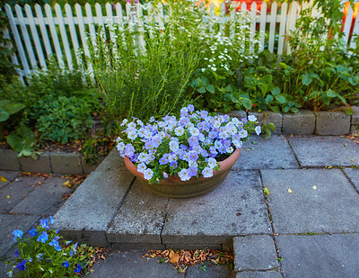 Buy stock photo A series of beautiful garden photos