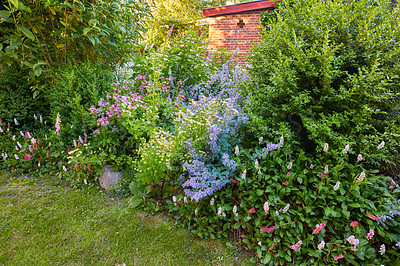 Buy stock photo A series of beautiful garden photos