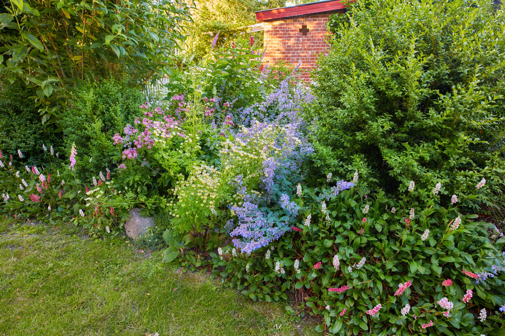 Buy stock photo A series of beautiful garden photos