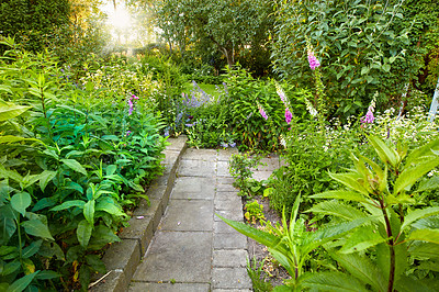 Buy stock photo A series of beautiful garden photos