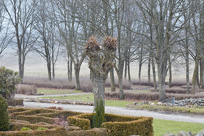 Buy stock photo A photo of a Danish Church National Church