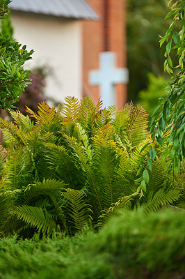 Buy stock photo Nature, plants and outdoor with cross at church for worship, religion or christian faith. Green bush, chapel building or garden with eco friendly leaves, sustainable and spiritual ecology closeup